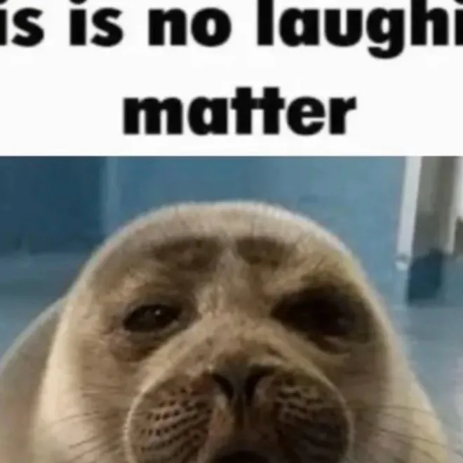 chat with ai character: Niko