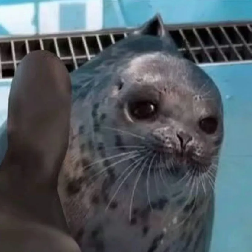 chat with ai character: Mashiro