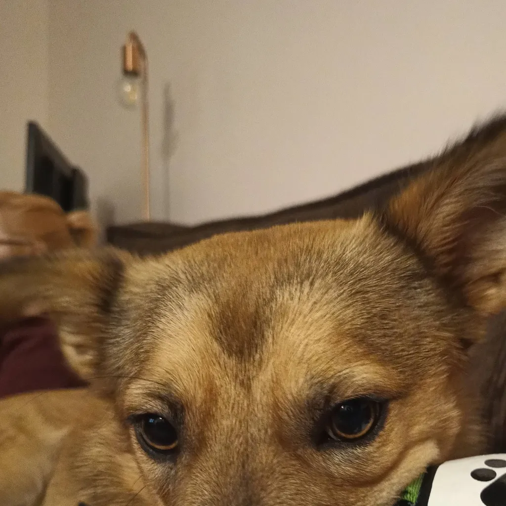 chat with ai character: 🍓germa ofcharek🍓