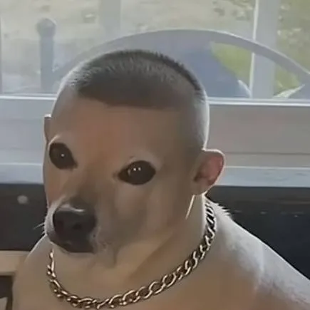 chat with ai character: el perro de wizy 