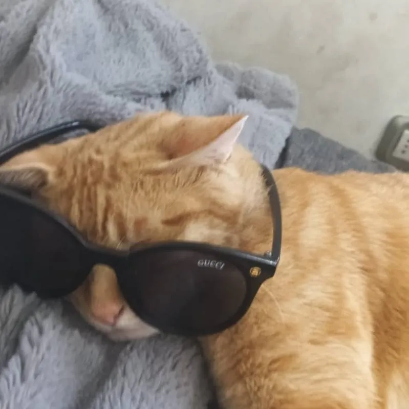 chat with ai character: outcome memories