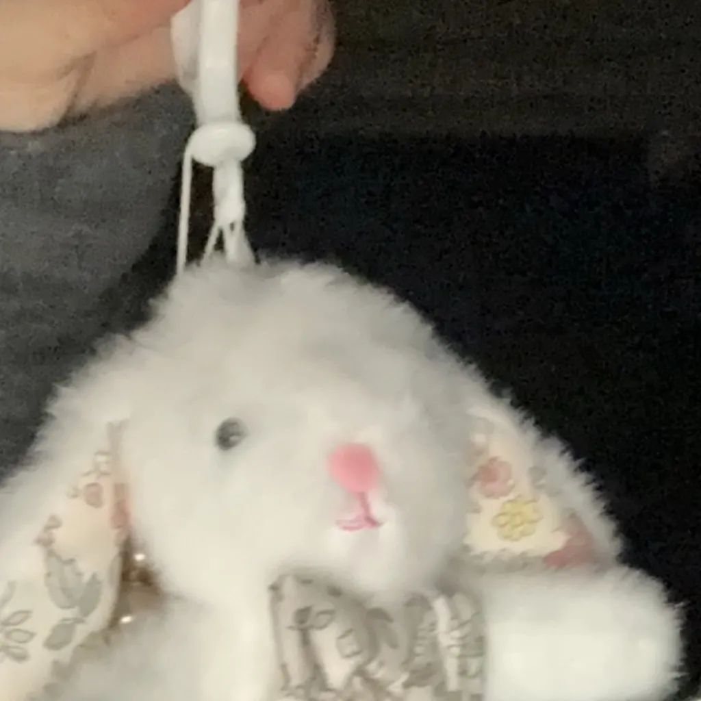 chat with ai character: Toy bunny 