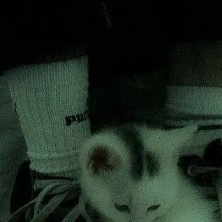 chat with ai character: bakugos sis