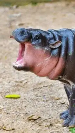 ai character: Му-Денг background