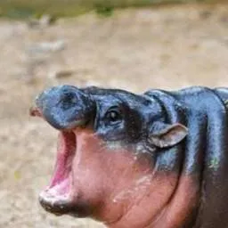 chat with ai character: Му-Денг