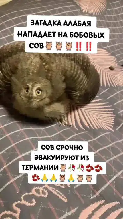 ai character: сова background