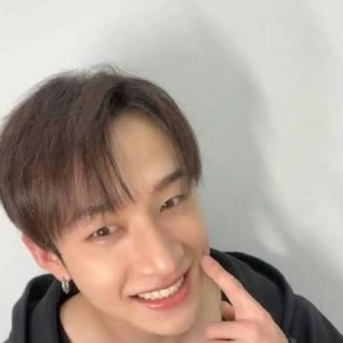 chat with ai character: Bang Chan