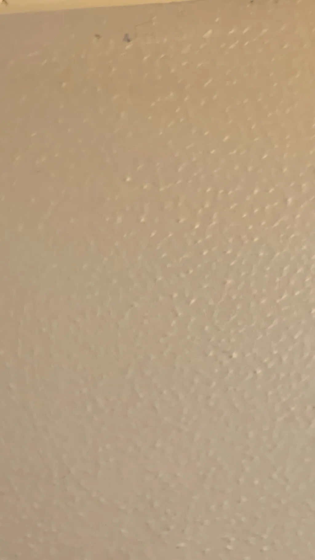 ai character: Prestonandsiblings background