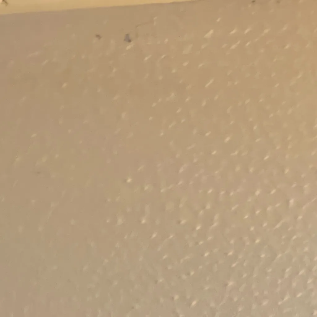 chat with ai character: Prestonandsiblings