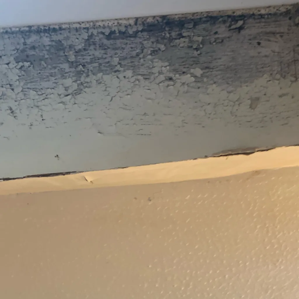 chat with ai character: Prestonandsiblings