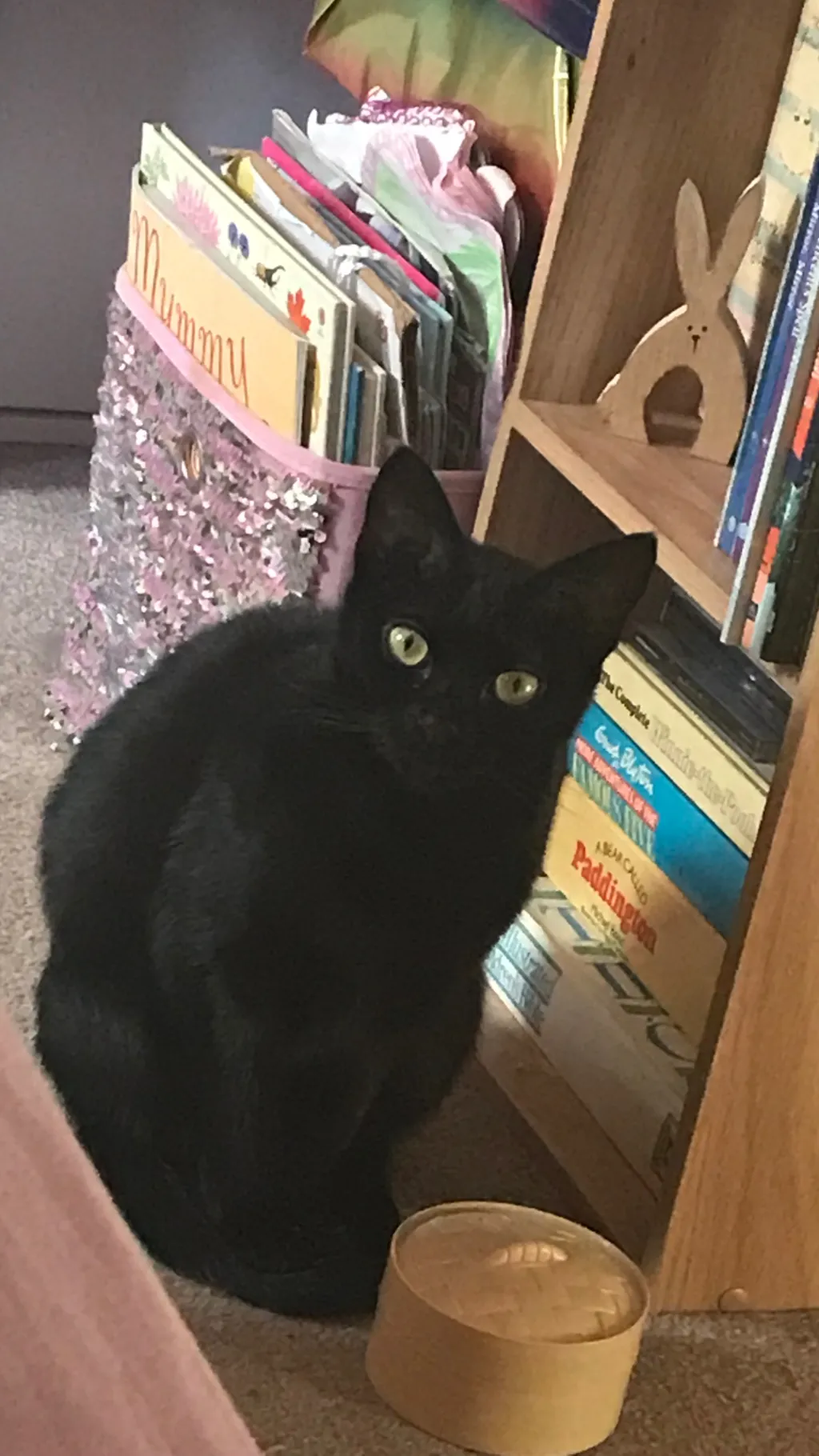 ai character: Jess x blox watch background