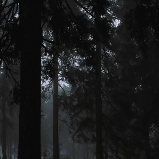chat with ai character: Creepypasta 