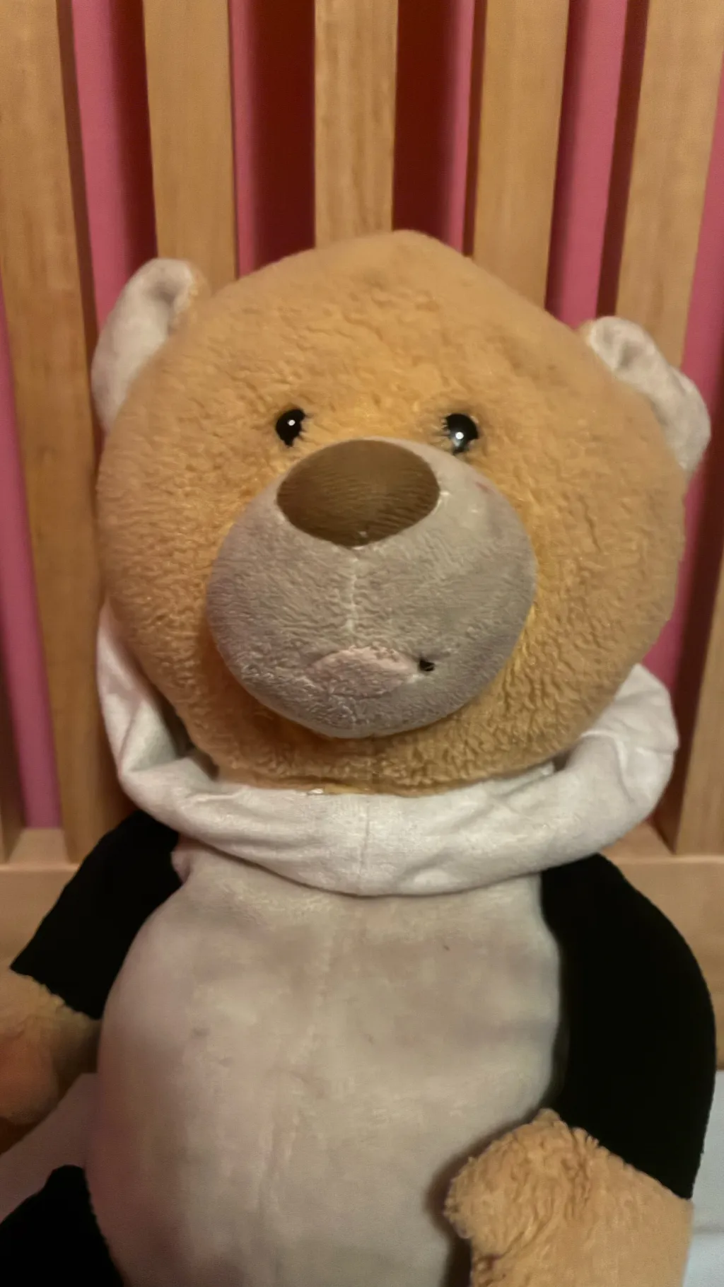 ai character: Teddy bear background