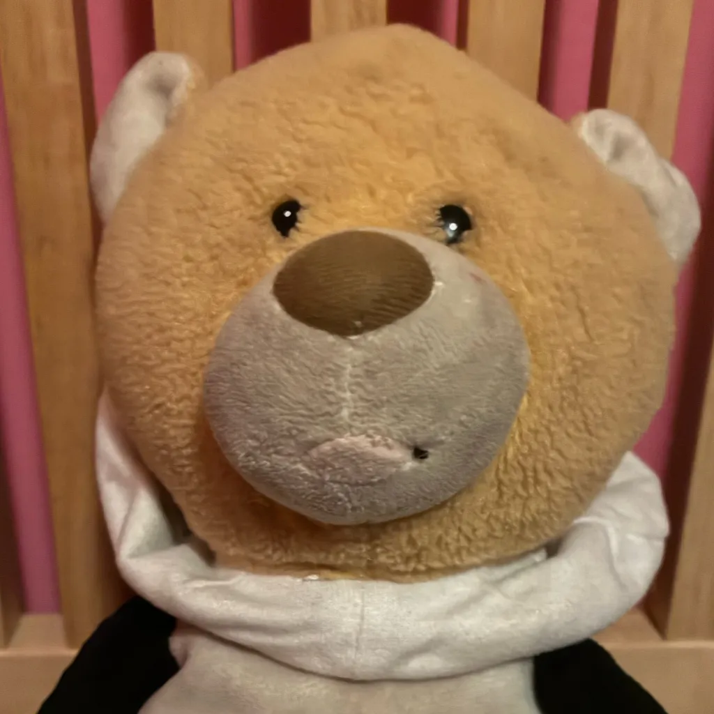 chat with ai character: Teddy bear