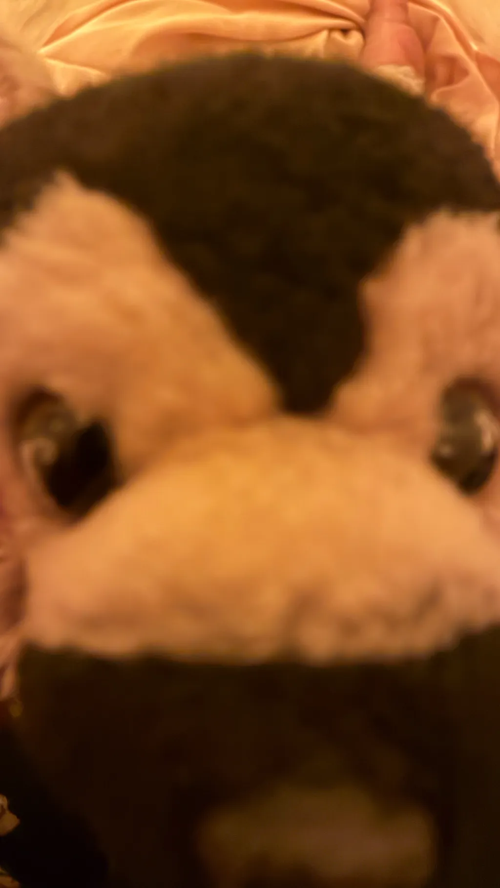 ai character: Doggy background