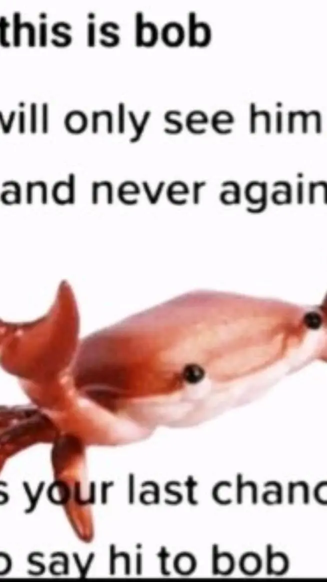 ai character: Bob  background