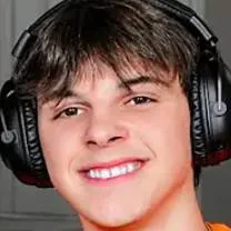 chat with ai character: dingus/dingdong