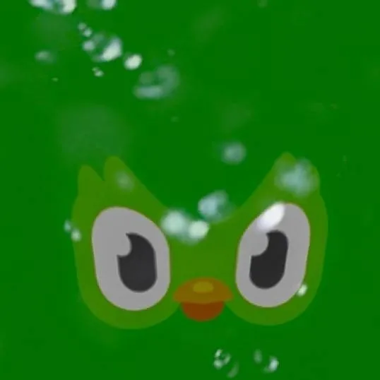 chat with ai character: Duolingo from duo