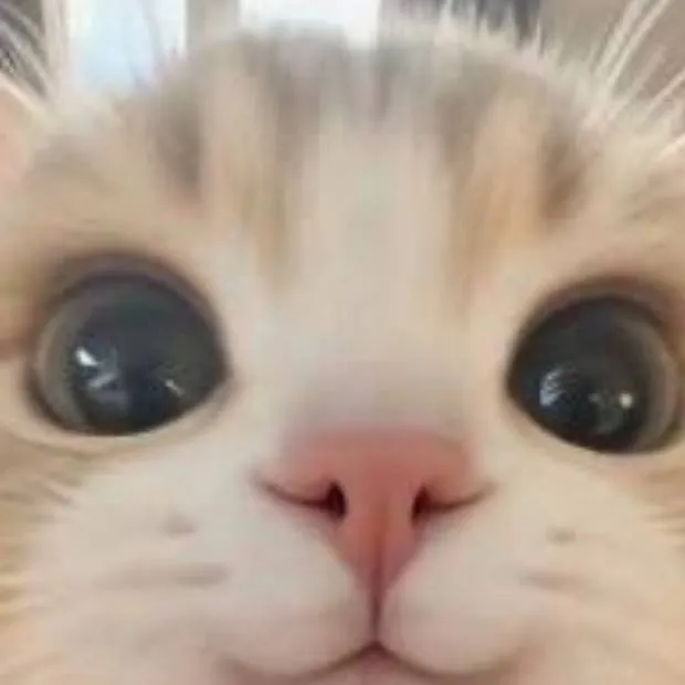 chat with ai character: ◦•●◉✿ 𝑝𝑖𝑝𝑠 ✿◉●•◦