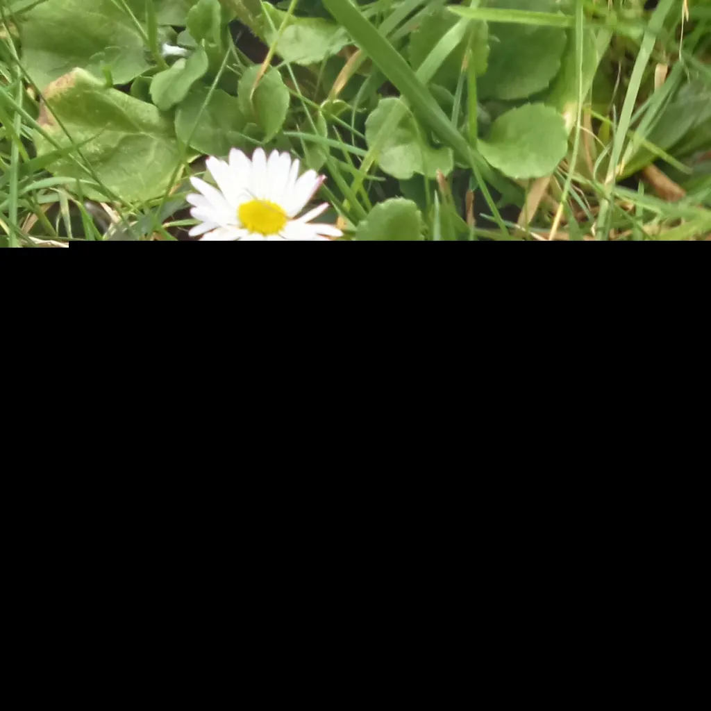 chat with ai character: mha CRAZY subst