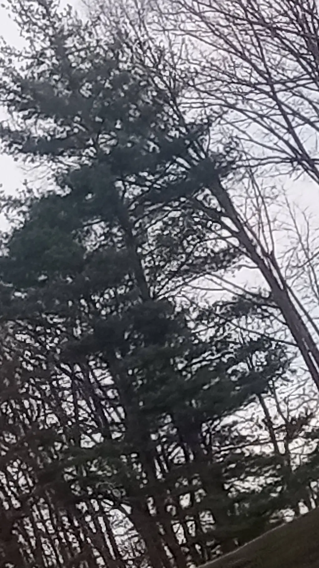 ai character: Derek  background