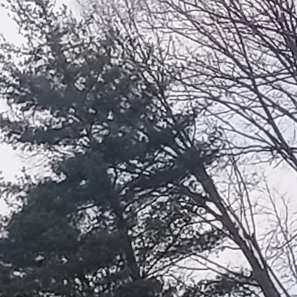 chat with ai character: Derek 