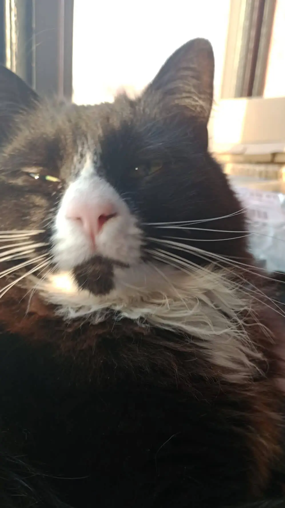 ai character: blue background