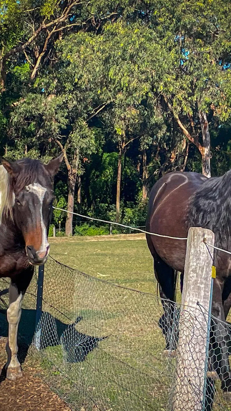 ai character: Laylah (part 2) background