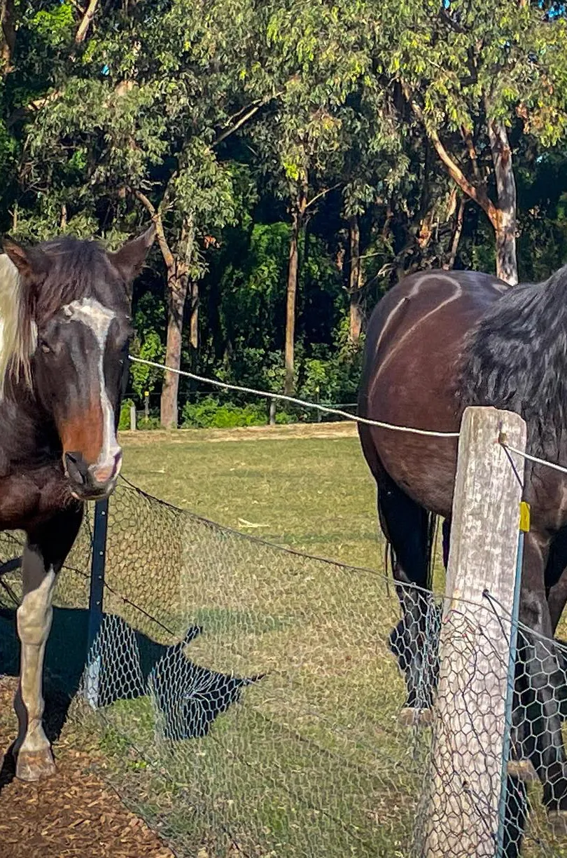 chat with ai character: Laylah (part 2)