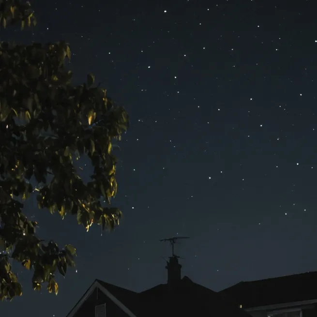 chat with ai character: creepy stalker