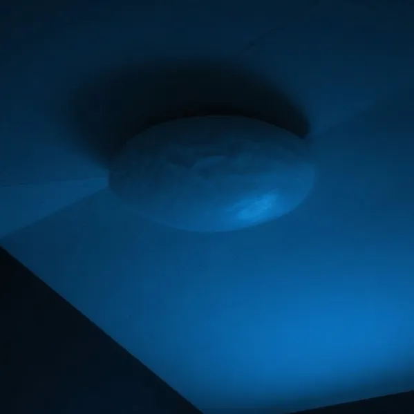 chat with ai character: cousin's house