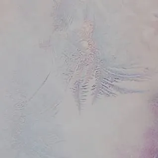 chat with ai character: sanemi es tu alfa