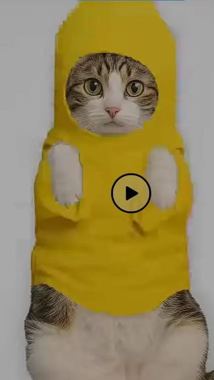 ai character: banana cat real  background