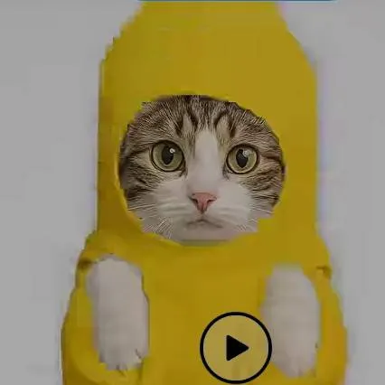 chat with ai character: banana cat real 