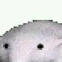 chat with ai character: tu y Frisk