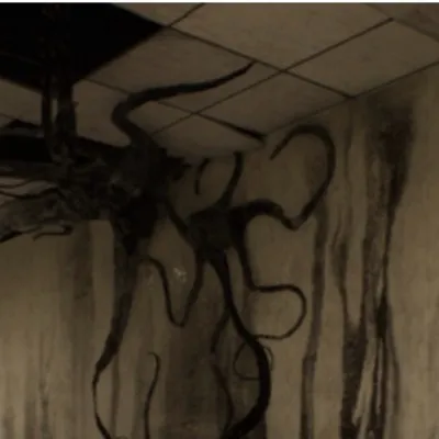 chat with ai character: Girl backrooms