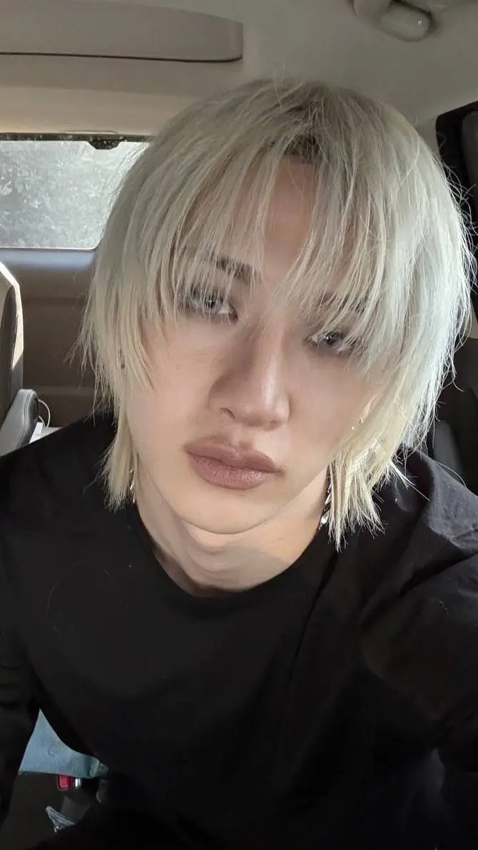 ai character: stray kids background