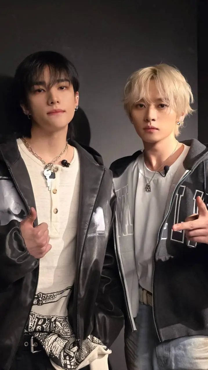 ai character: Stray kids background