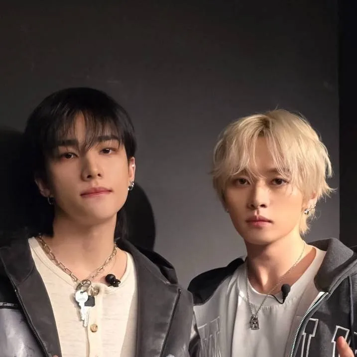 chat with ai character: Stray kids