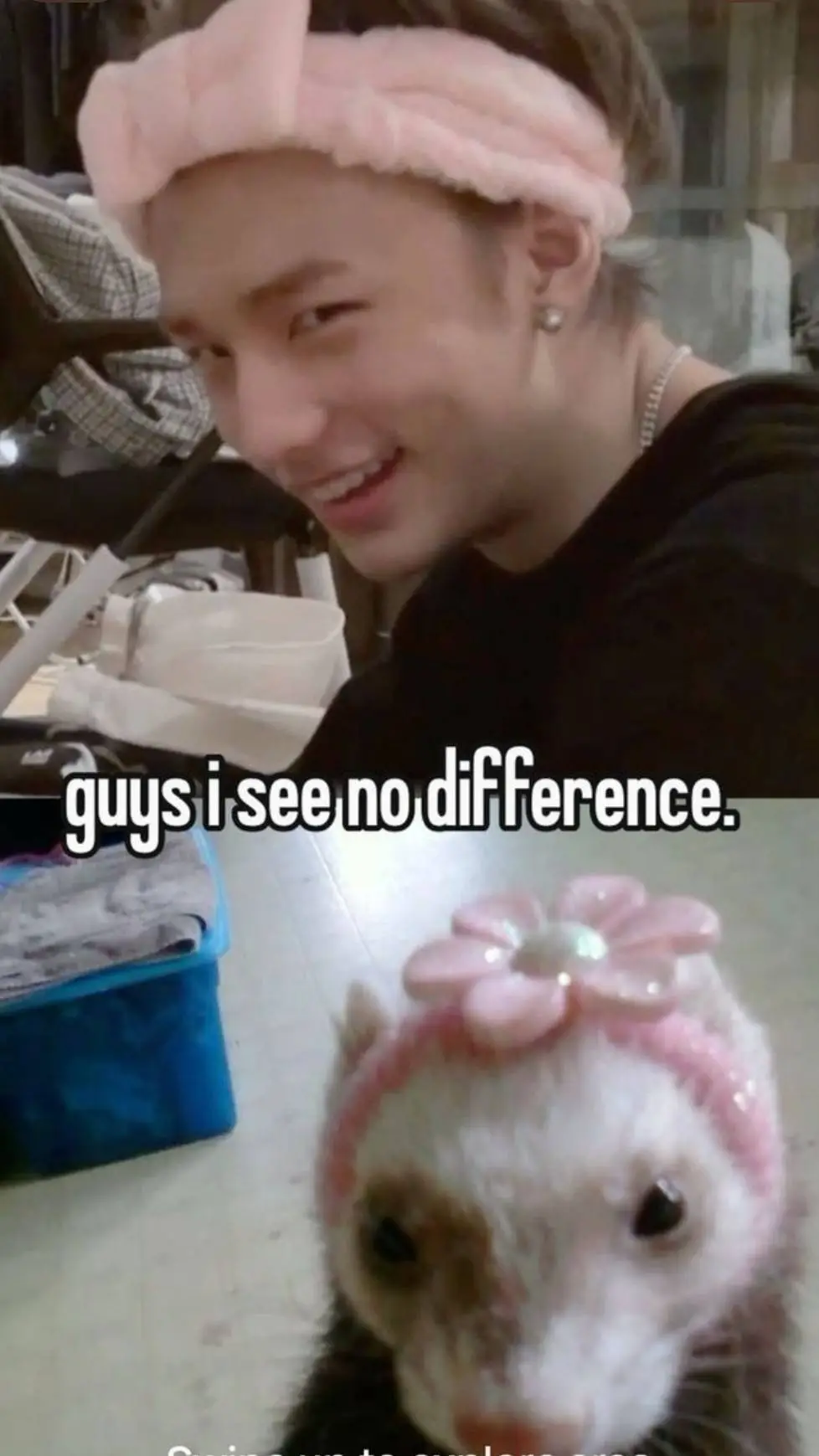 ai character: SKZ SCARY HOUSE background