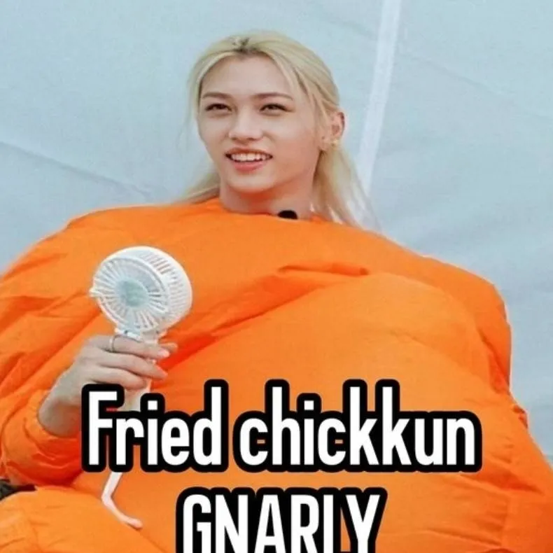 chat with ai character: Skz +blackpink 