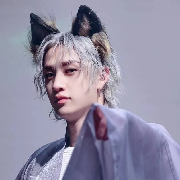 chat with ai character: Wolf  chan 