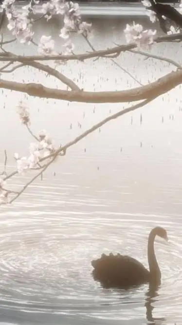 ai character: hashira mission🎀 background