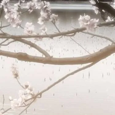 chat with ai character: hashira mission🎀