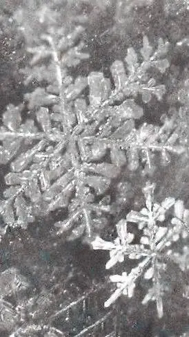 ai character: kny christmas background