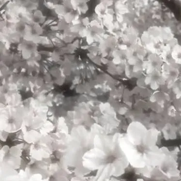 chat with ai character: kny roadtrip