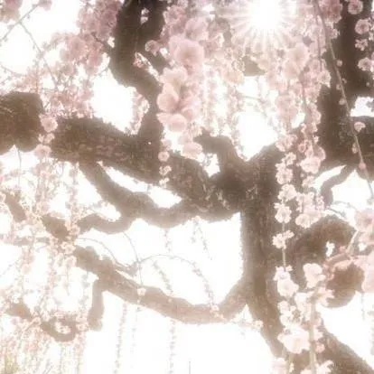 chat with ai character: KNY training arc! 