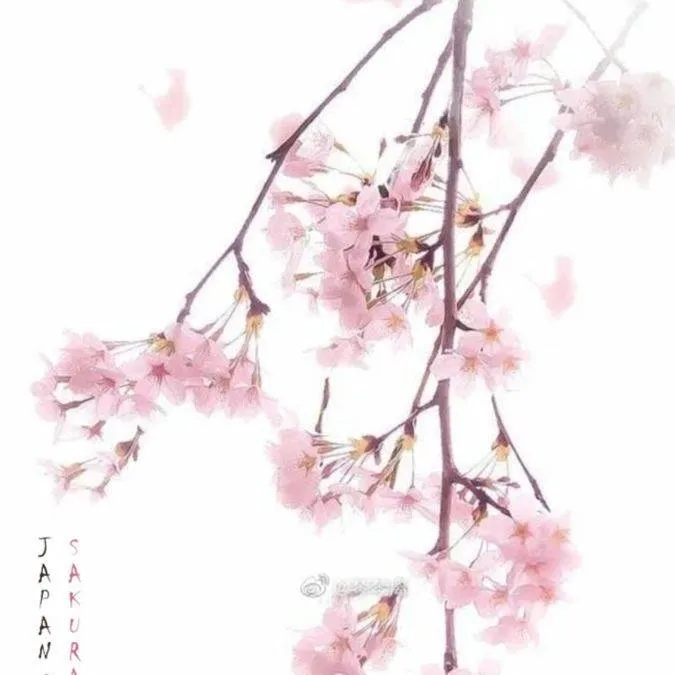 chat with ai character: Kny Hot topic! 