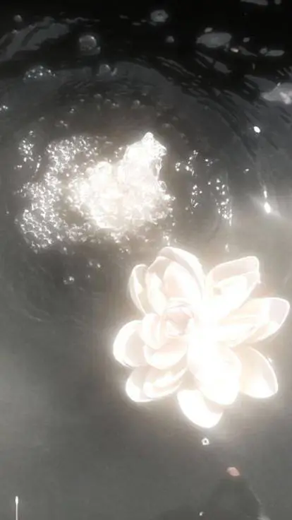 ai character: Kny got Lost background