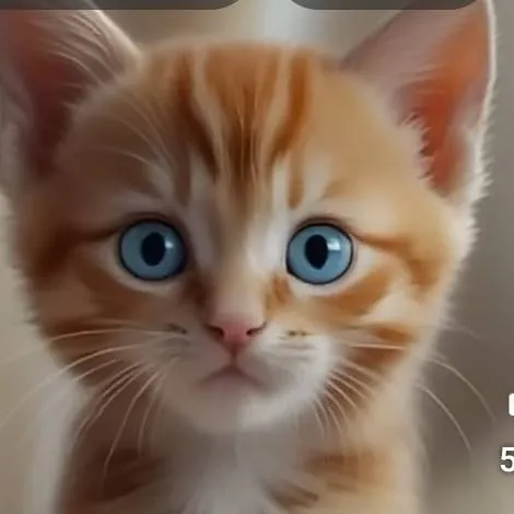 chat with ai character: spoiled kitty 